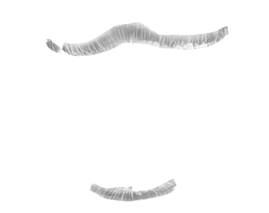 spot illustration of dimly illuminated teeth. they are grinning.